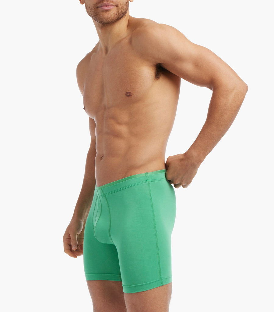 Modal 6" Boxer Brief